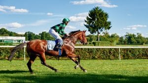 Best horse racing betting sites 1 2