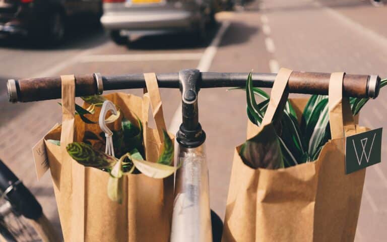 5 Reasons your business should switch to paper bags