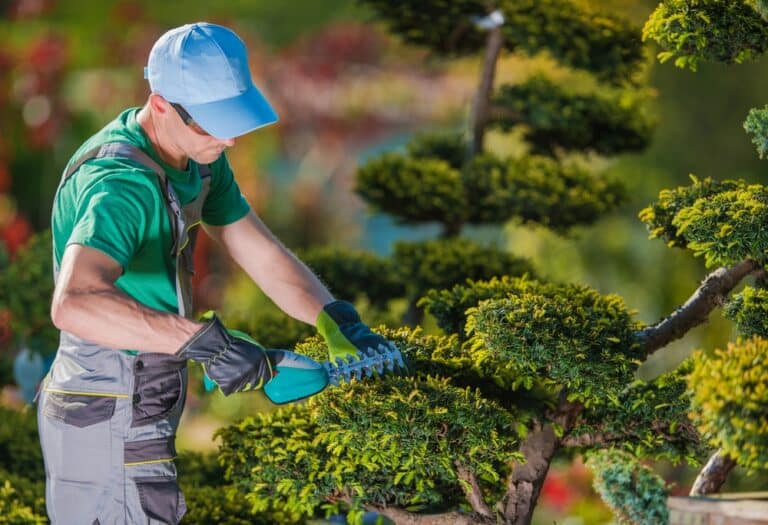 How to create a gardening business: A comprehensive guide