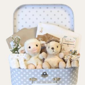 twins baby gifts hamper trunk 1 942ea8ed 5af7 49fb bfdd 11929fb64243