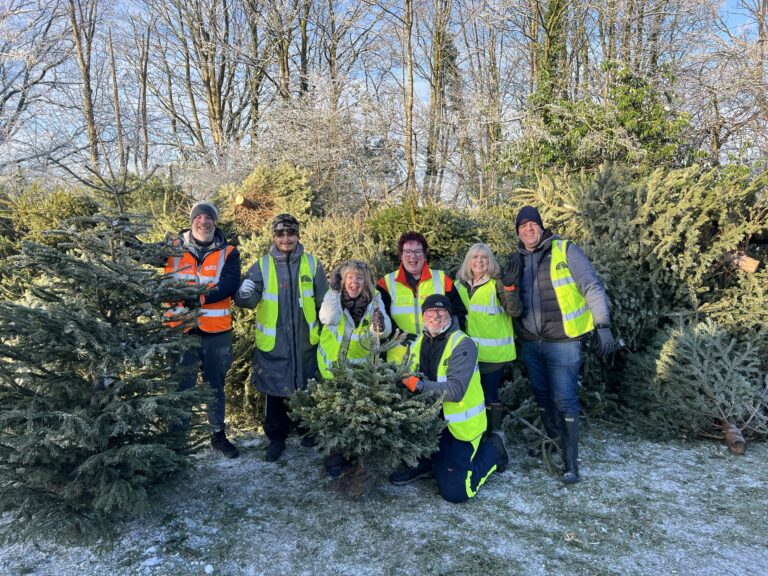 Manchester’s 5,000 recycled Christmas trees will help local parks